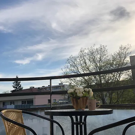 Superbe Equipe, Coins Cosy A Gare, 50m2, Parking Prive, Balcon, 2p Daire Metz