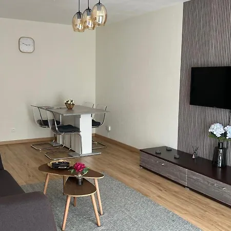 Superbe Equipe, Coins Cosy A Gare, 50m2, Parking Prive, Balcon, 2p Metz