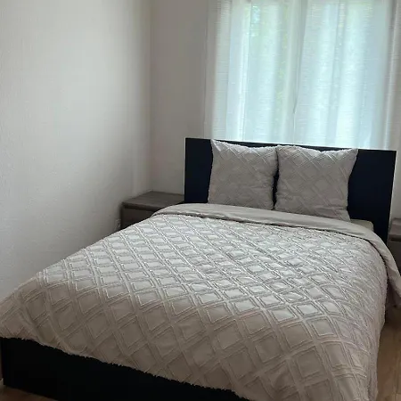 Superbe Equipe, Coins Cosy A Gare, 50m2, Parking Prive, Balcon, 2p Daire Metz