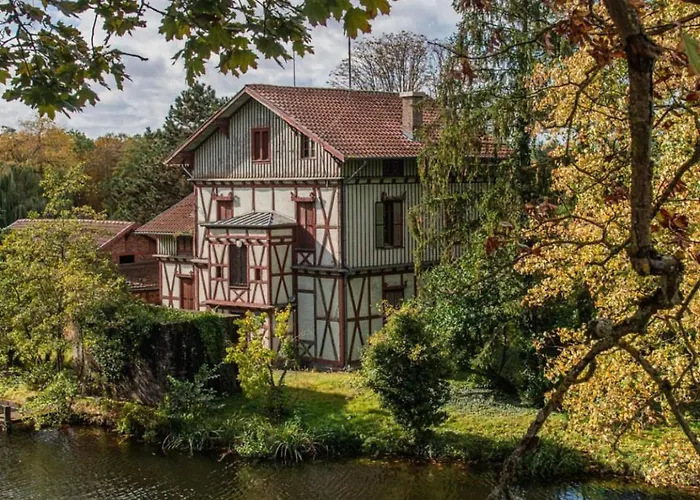 Superbe Equipe, Coins Cosy A Gare, 50m2, Parking Prive, Balcon, 2p * Metz