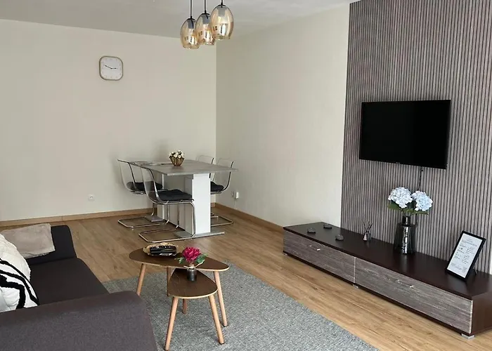 Superbe Equipe, Coins Cosy A Gare, 50m2, Parking Prive, Balcon, 2p Metz