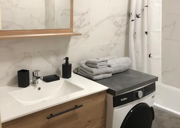 Lejlighed Superbe Equipe, Coins Cosy A Gare, 50m2, Parking Prive, Balcon, 2p Metz